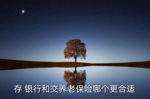 存 銀行和交養(yǎng)老保險哪個更合適