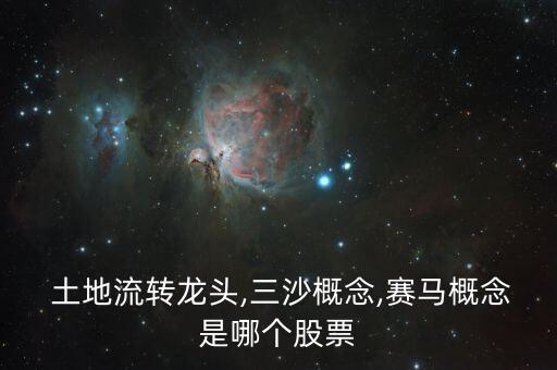  土地流轉(zhuǎn)龍頭,三沙概念,賽馬概念是哪個股票