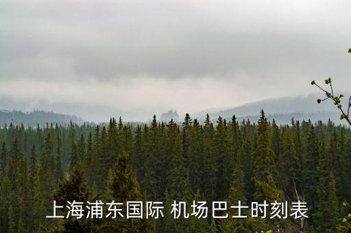  上海浦東國際 機(jī)場巴士時刻表