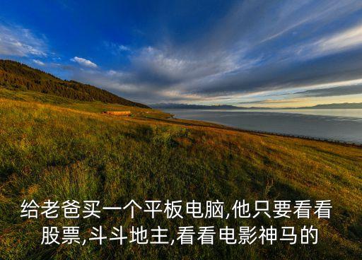 給老爸買一個平板電腦,他只要看看 股票,斗斗地主,看看電影神馬的