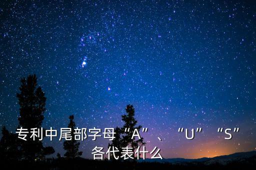 專利中尾部字母“A”、“U”“S”各代表什么
