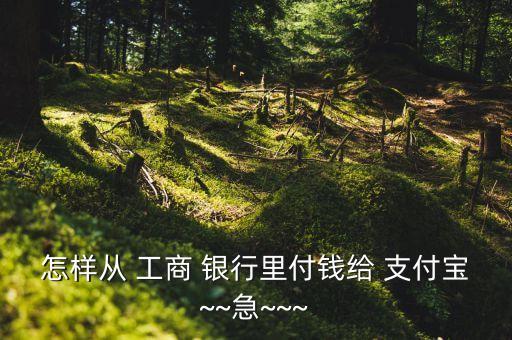 怎樣從 工商 銀行里付錢給 支付寶~~急~~~