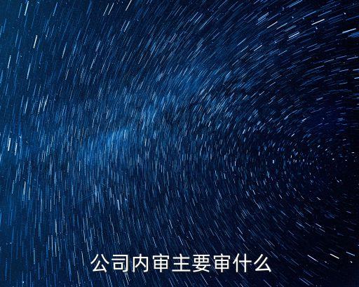公司財務(wù)審計制度,國家財務(wù)審計制度的基本原則