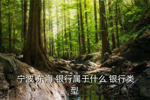 寧波 東海 銀行屬于什么 銀行類型