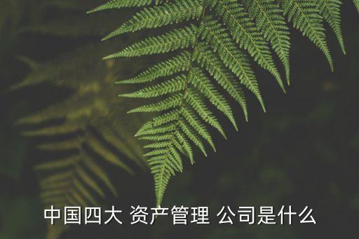 中國(guó)四大 資產(chǎn)管理 公司是什么