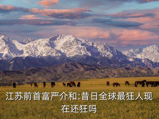 江蘇前首富嚴(yán)介和:昔日全球最狂人現(xiàn)在還狂嗎
