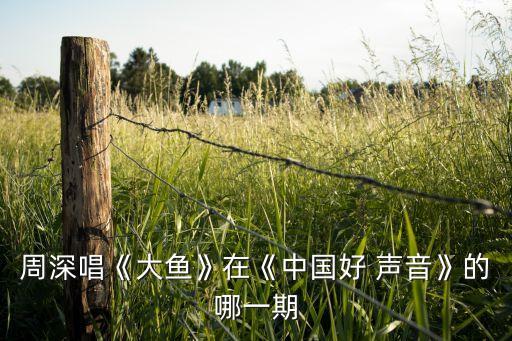 周深唱《大魚(yú)》在《中國(guó)好 聲音》的哪一期