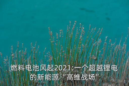 燃料電池風(fēng)起2021:一個(gè)超越鋰電的新能源“高維戰(zhàn)場”
