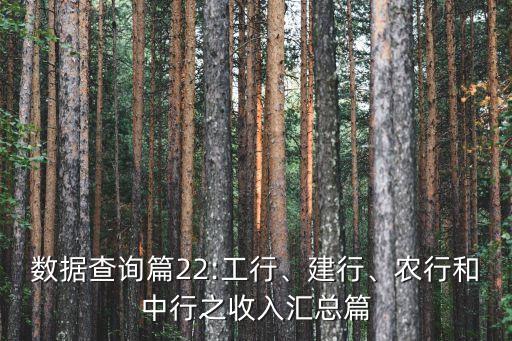 數(shù)據(jù)查詢篇22:工行、建行、農(nóng)行和中行之收入?yún)R總篇