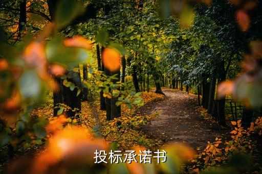 投標(biāo)承諾書(shū)