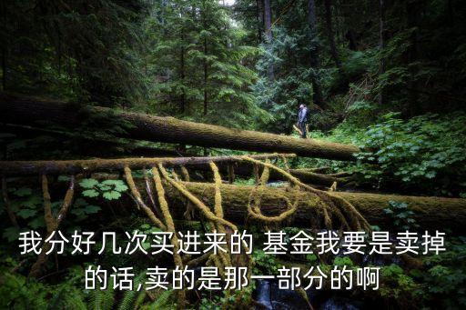 我分好幾次買進來的 基金我要是賣掉的話,賣的是那一部分的啊