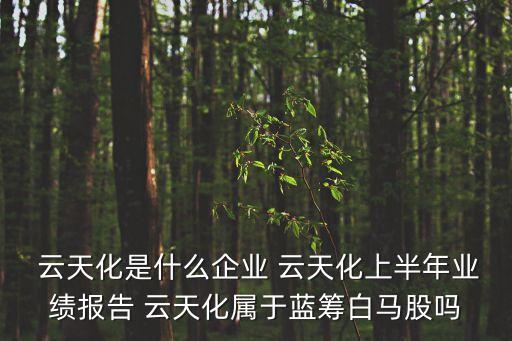  云天化是什么企業(yè) 云天化上半年業(yè)績(jī)報(bào)告 云天化屬于藍(lán)籌白馬股嗎