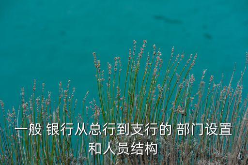 一般 銀行從總行到支行的 部門(mén)設(shè)置和人員結(jié)構(gòu)