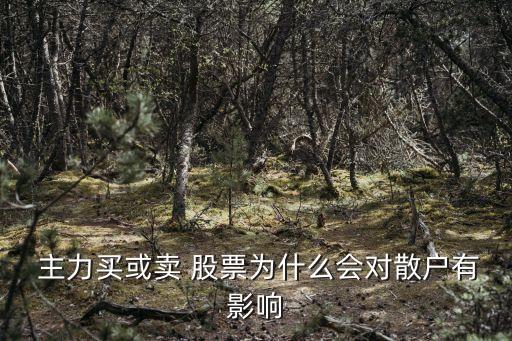 主力拉升出貨的股票危險(xiǎn)嗎,股票主力建倉后要拉升多少才可能獲利出貨