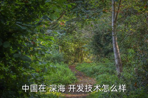 中國在 深海 開發(fā)技術(shù)怎么樣