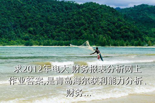 求2012年電大 財務(wù)報表分析網(wǎng)上作業(yè)答案,是青島海爾獲利能力分析、 財務(wù)...