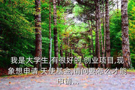 我是大學(xué)生,有很好的 創(chuàng)業(yè)項目,現(xiàn)象想申請 天使基金,請問要怎么才能申請...