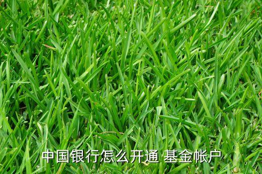 基金如何開戶,基金在手機(jī)上怎么開戶