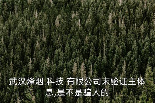 武漢烽煙 科技 有限公司末驗證主體息,是不是騙人的