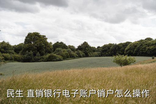 民生 直銷(xiāo)銀行電子賬戶(hù)銷(xiāo)戶(hù)怎么操作