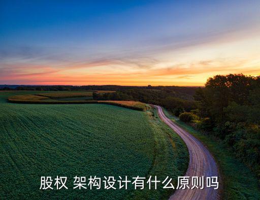 股權(quán) 架構(gòu)設(shè)計(jì)有什么原則嗎