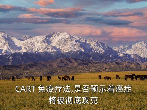CART 免疫療法,是否預(yù)示著癌癥將被徹底攻克