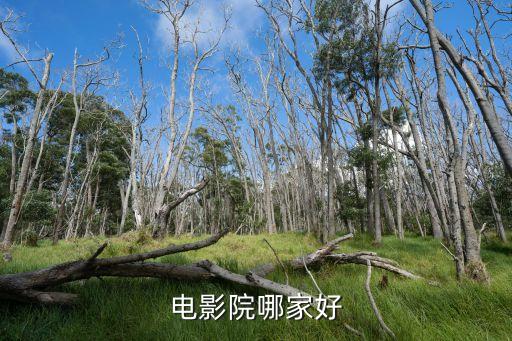 中國(guó)電影集團(tuán)公司股票,中國(guó)數(shù)字商業(yè)集團(tuán)公司股票