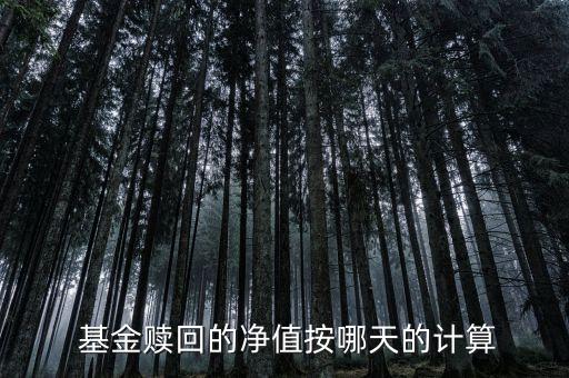 傳媒B基金清算時間,傳媒基金前景怎么樣