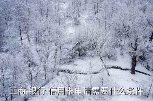 工商 銀行 信用卡申請需要什么條件