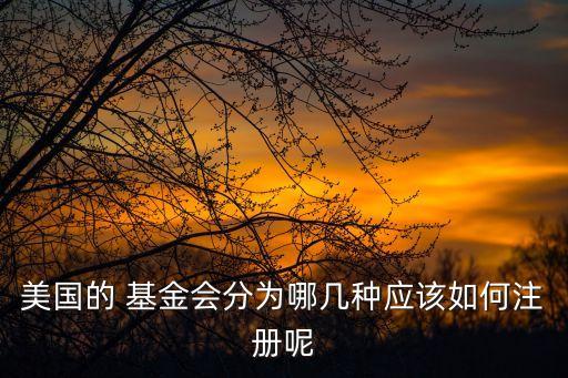 美中政策基金會,美中科學教育基金會