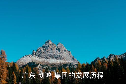 廣東 創(chuàng)鴻 集團(tuán)的發(fā)展歷程