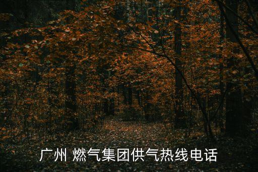 國(guó)興燃?xì)庥邢薰?江蘇國(guó)興建設(shè)項(xiàng)目管理有限公司