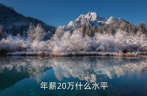  年薪20萬什么水平