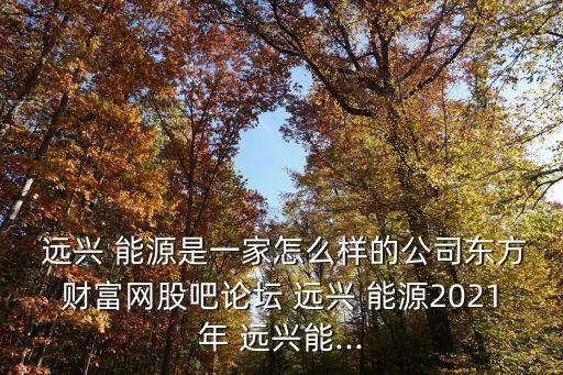  遠興 能源是一家怎么樣的公司東方財富網(wǎng)股吧論壇 遠興 能源2021年 遠興能...