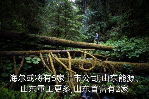 海爾或將有5家上市公司,山東能源、山東重工更多,山東首富有2家