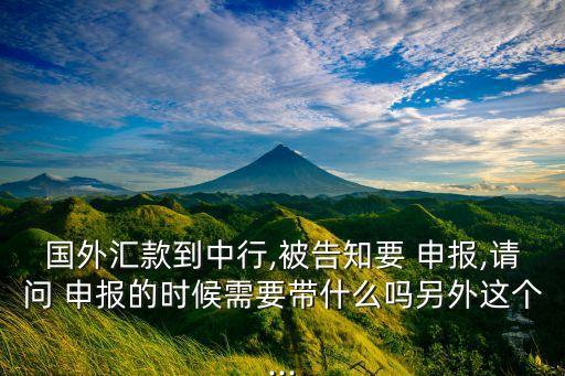 國(guó)外匯款到中行,被告知要 申報(bào),請(qǐng)問 申報(bào)的時(shí)候需要帶什么嗎另外這個(gè)...