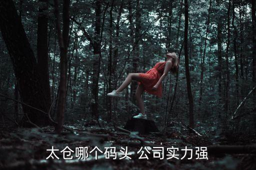 太倉哪個(gè)碼頭 公司實(shí)力強(qiáng)