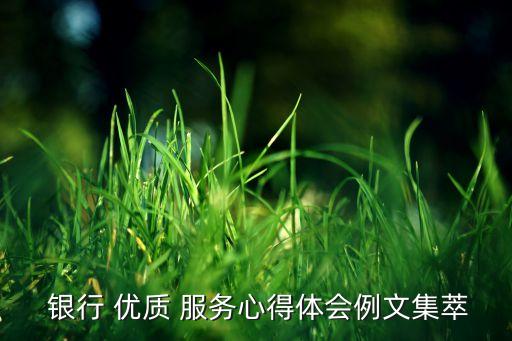  銀行 優(yōu)質(zhì) 服務(wù)心得體會(huì)例文集萃