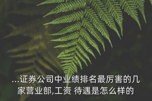 ...證券公司中業(yè)績(jī)排名最厲害的幾家營(yíng)業(yè)部,工資 待遇是怎么樣的