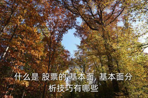 什么是 股票的 基本面, 基本面分析技巧有哪些