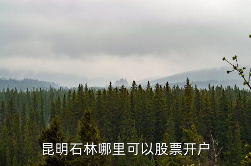 昆明石林哪里可以股票開(kāi)戶