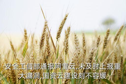 安全工信部通報阿里云,未及時上報重大漏洞,國資云建設刻不容緩