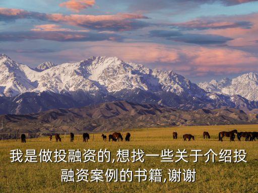 我是做投融資的,想找一些關(guān)于介紹投融資案例的書(shū)籍,謝謝