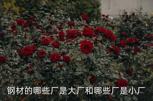 鋼材的哪些廠是大廠和哪些廠是小廠