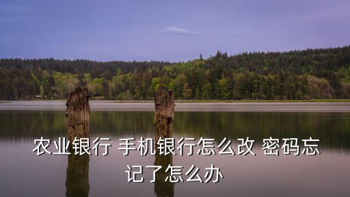 手機(jī)可以修改農(nóng)業(yè)行銀行卡密碼嗎,手機(jī)上可以修改銀行卡綁定號碼嗎