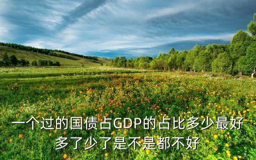 一個過的國債占GDP的占比多少最好多了少了是不是都不好