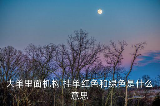 大單里面機構 掛單紅色和綠色是什么意思