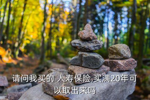 中國人壽繳費期限保險期滿