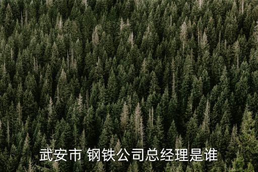 武安市 鋼鐵公司總經(jīng)理是誰