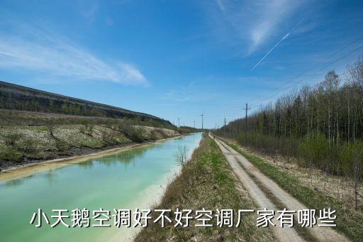  小天鵝空調(diào)好不好空調(diào)廠家有哪些